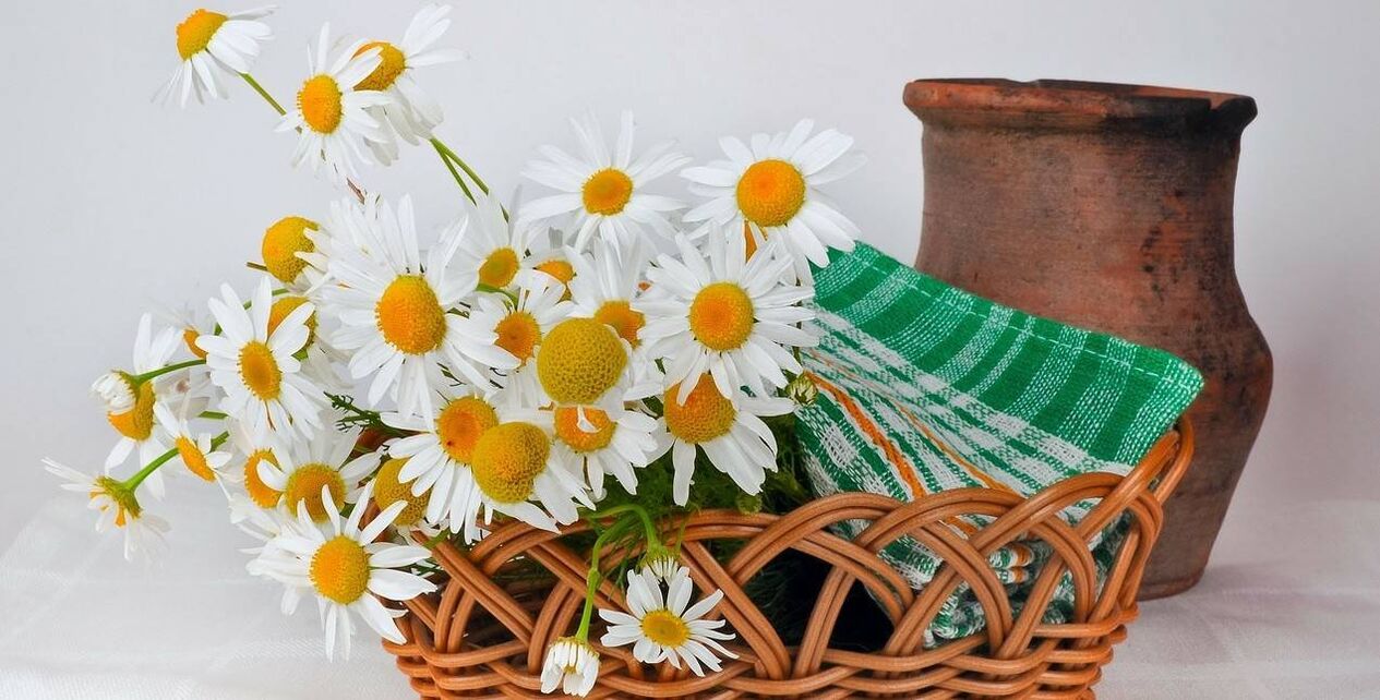 how to make a face toner from chamomile flowers
